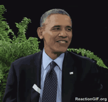 Barack Obama Between Two Ferns GIF - Barack Obama Between Two Ferns Smile GIFs