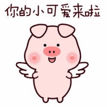 Tkthao219 Piggy GIF