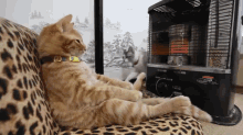 Warm Kitty GIF - Cat Sit Couch GIFs