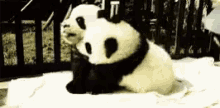 Abraçando Fofo Abraço Panda Vemca GIF - Hugging Cute Hug GIFs