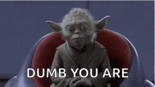 Yoda Dumb GIF - Yoda Dumb Serious GIFs
