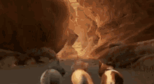 Puss In Boots Cat GIF - Puss In Boots Cat Shock GIFs