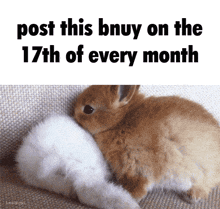 a picture of a rabbit with the words post this bnuy on the 17th of every month below it