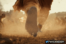 a picture of a person 's feet with a twickreddy watermark