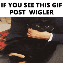 Ifyouseethispostwigler Wigler GIF - Ifyouseethispostwigler Wigler Wiggler GIFs