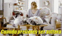 Taylor Swift En Una Sala Llena De Gatos GIF - Soltera Taylor Swift Loca De Los Gatos GIFs