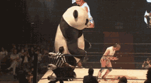 Panda Wrestling GIF - Panda Wrestling Ko GIFs