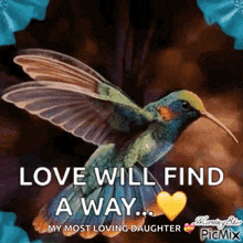 Humming Bird Love Will Find A Way GIF