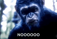 Attack Apes GIF - Attack Apes War For The Planet Of The Apes GIFs