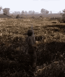 War Of Rights GIF