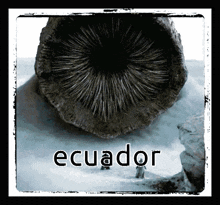 Ecuador Worm GIF - Ecuador Worm Hole GIFs