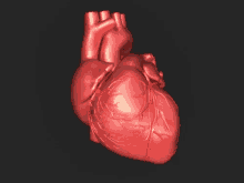 Heart GIF
