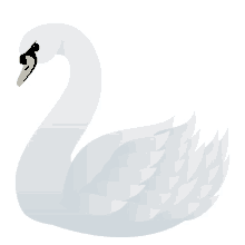 swan nature joypixels long slender neck bright white plumage