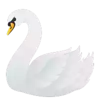 a white swan with a yellow beak and a black beak