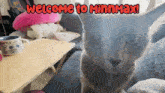 Welcome To Minnmax Minnmax Pets GIF - Welcome To Minnmax Minnmax Minnmax Pets GIFs