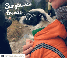 Surinka Sunglass GIF - Surinka Sunglass Trend GIFs
