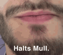 Halts Mull Halts Maul GIF - Halts Mull Halts Maul Halt Dein Maul GIFs