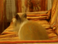 Excited Rabbit GIF - Excited Rabbit GIFs
