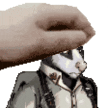 a person is petting a husky wearing a suit and tie .