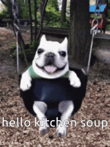 Kitchen Soup Dog Swing GIF - Kitchen Soup Dog Swing GIFs
