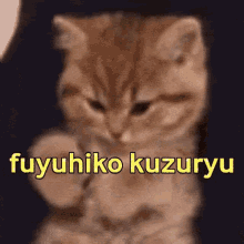 Fuyuhiko Kuzuryu GIF - Fuyuhiko Kuzuryu Fuyuhiko Kuzuryu GIFs