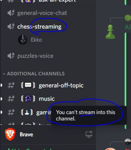 Chess.com - our discord server be like