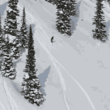 Snowboarding Red Bull GIF - Snowboarding Red Bull Sliding Downwards On My Snowboard GIFs