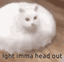 Ight Imma Head Out Cat GIF - Ight Imma Head Out Cat Roomba GIFs