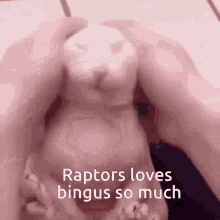a person is holding a stuffed animal with the words raptors loves bingus so much