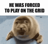He Was Forced To Play On The Grid Crying Seal GIF - He Was Forced To Play On The Grid Crying Seal GIFs