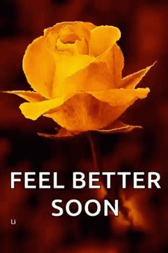 Feel Better Get Well Soon GIF – Feel Better Get Well Soon Flowers ...