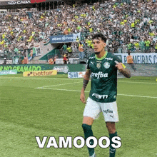Vamooos Palmeiras GIF - Vamooos Palmeiras Palmeirense GIFs