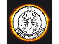 a logo for dolls and dudes has a spider in the center