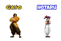a video game character named gato and a character named hotaru