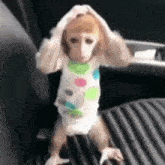 a baby monkey wearing a diaper and a polka dot shirt is sitting on a car seat .