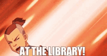 avatar sokka library librarian books