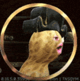 a picture of a peanut wearing a black hat