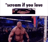 a picture of a wrestling ring with the words " scream if you love "
