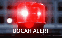Bocah Alert GIF - Bocah Alert Bocah Alert GIFs