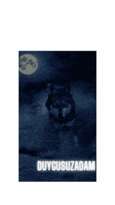 a book cover with a wolf and the word duygusuzadam
