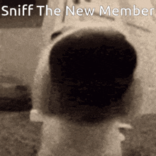Member New GIF