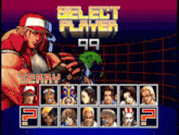 a select player screen for a video game shows terry