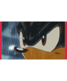 Sonic Shadow The Hedgehog GIF - Sonic Shadow The Hedgehog Tails GIFs