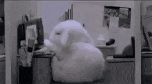 Bunny Rabbit GIF - Bunny Rabbit Office GIFs