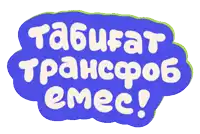 a green and blue sign that says tabulat transfob emes
