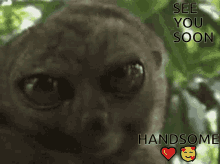 Handsome Sys GIF - Handsome Sys See You Soon GIFs