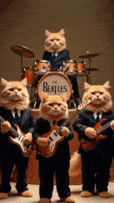 four cats dressed up as the beatles are playing guitars and drums