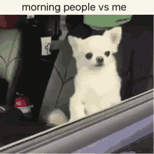 Dogs Morning People Versus Me GIF - Dogs Morning People Versus Me Jwu GIFs