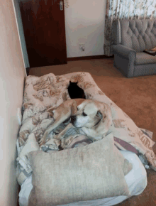 Time For Bed Lazy Afternoon GIF - Time For Bed Lazy Afternoon GIFs