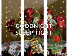 good night sleep tight glitter rose